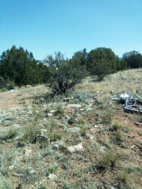 2 ACRES WITH ELECTRIC ON LOT IN BRIDGE CANYON ESTATES IN SELIGMAN ...