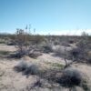 Lake Havasu 40 minute drive from this 4 acre in Yucca!! I-40 near! APN: 245-22-202 & 245-22-203 - Image 2
