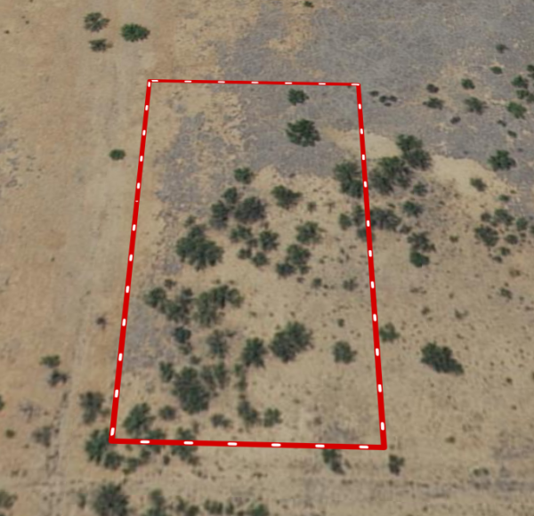 Mineral Rights still included!! 1 Acre of Paradise in Cochise County, Arizona! - Image 2