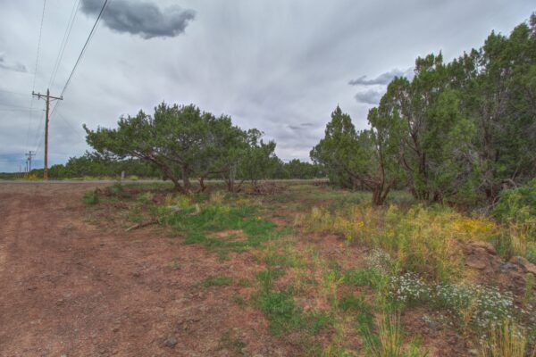 All Utilities On Property! 0.56 Acres Corner Lot in Show Low Crossroads, Apache AZ!  Close to Highway 60!!! - Image 10