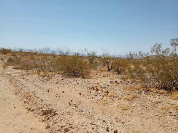 Owner carry on Desert Shadows Ranchos! 2.35 Acres of shadowy land in Mohave County, Arizona! - Image 28