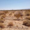Junk RV on 3.39 acres in Havasu Terrace Unit 1 Mohave  County AZ!! - Image 4