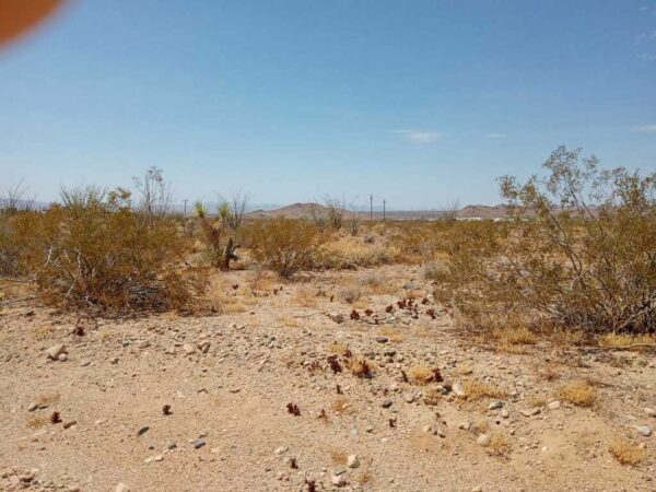 Owner carry on Desert Shadows Ranchos! 2.35 Acres of shadowy land in Mohave County, Arizona! - Image 26