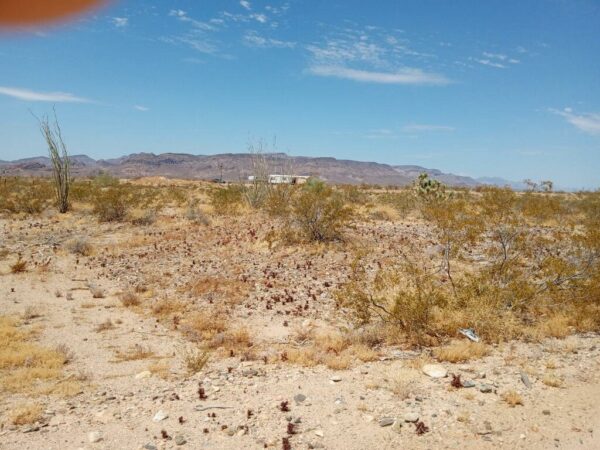 Owner carry on Desert Shadows Ranchos! 2.35 Acres of shadowy land in Mohave County, Arizona! - Image 24