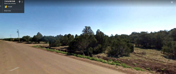 All Utilities On Property! 0.56 Acres Corner Lot in Show Low Crossroads, Apache AZ!  Close to Highway 60!!! - Image 7