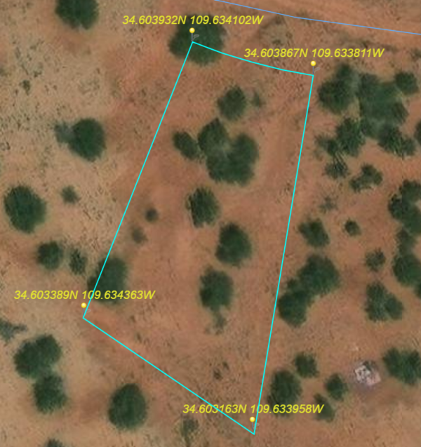 RV on your lot with pinion trees on a residential .66 acre Apache lot! APN: 204-11-046 - Image 9