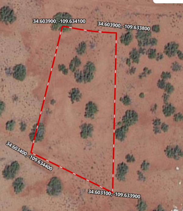 RV on your lot with pinion trees on a residential .66 acre Apache lot! APN: 204-11-046 - Image 11