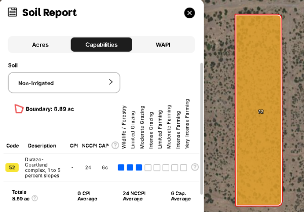 Man’s best friend would love a big 8.69 acre lot in Bisbee, AZ! - Image 18