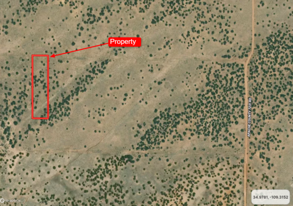 Easy dirt road access to 2 1/2 acres for your mobile home! - Image 15